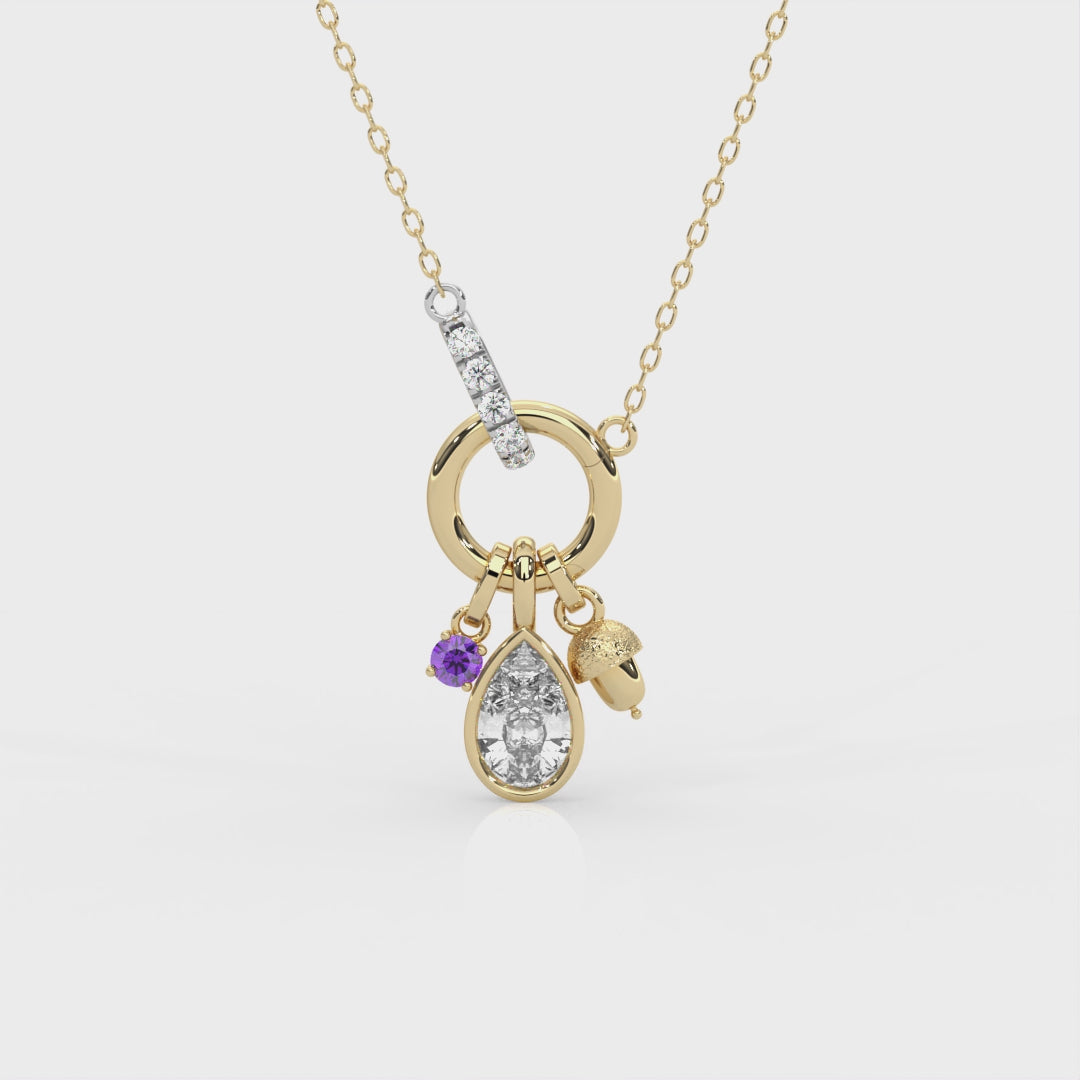 Charm Clip Necklace